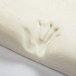 NatureLife Bamboo Memory Foam Pillow, Slow Rebound Memory Foam